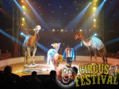 Foto: Circus Festival